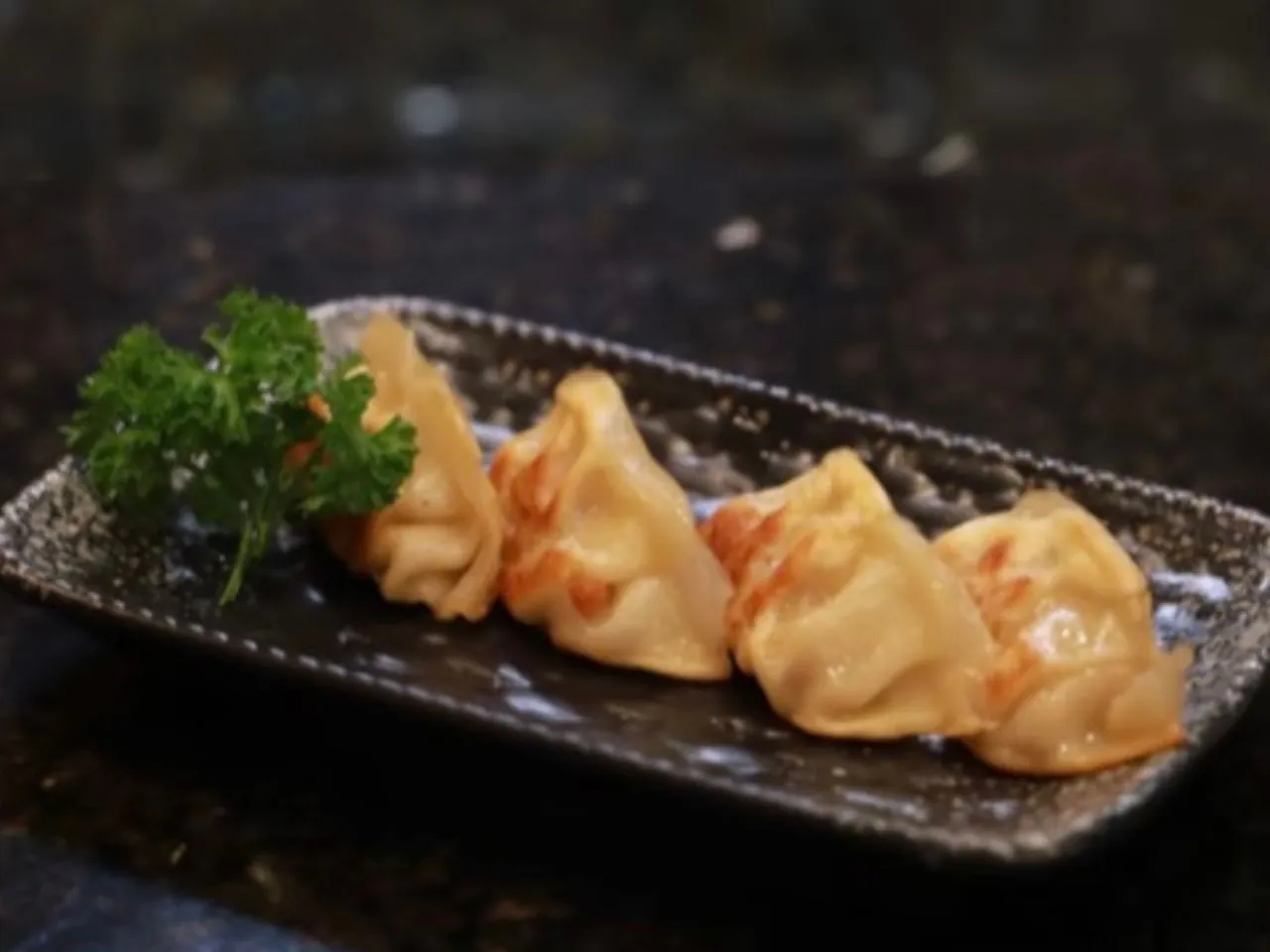 Pan-fried dumplings with shrimp filling at Sakura Sushi & Hibachi, a Japanese Restaurant in Bainbridge